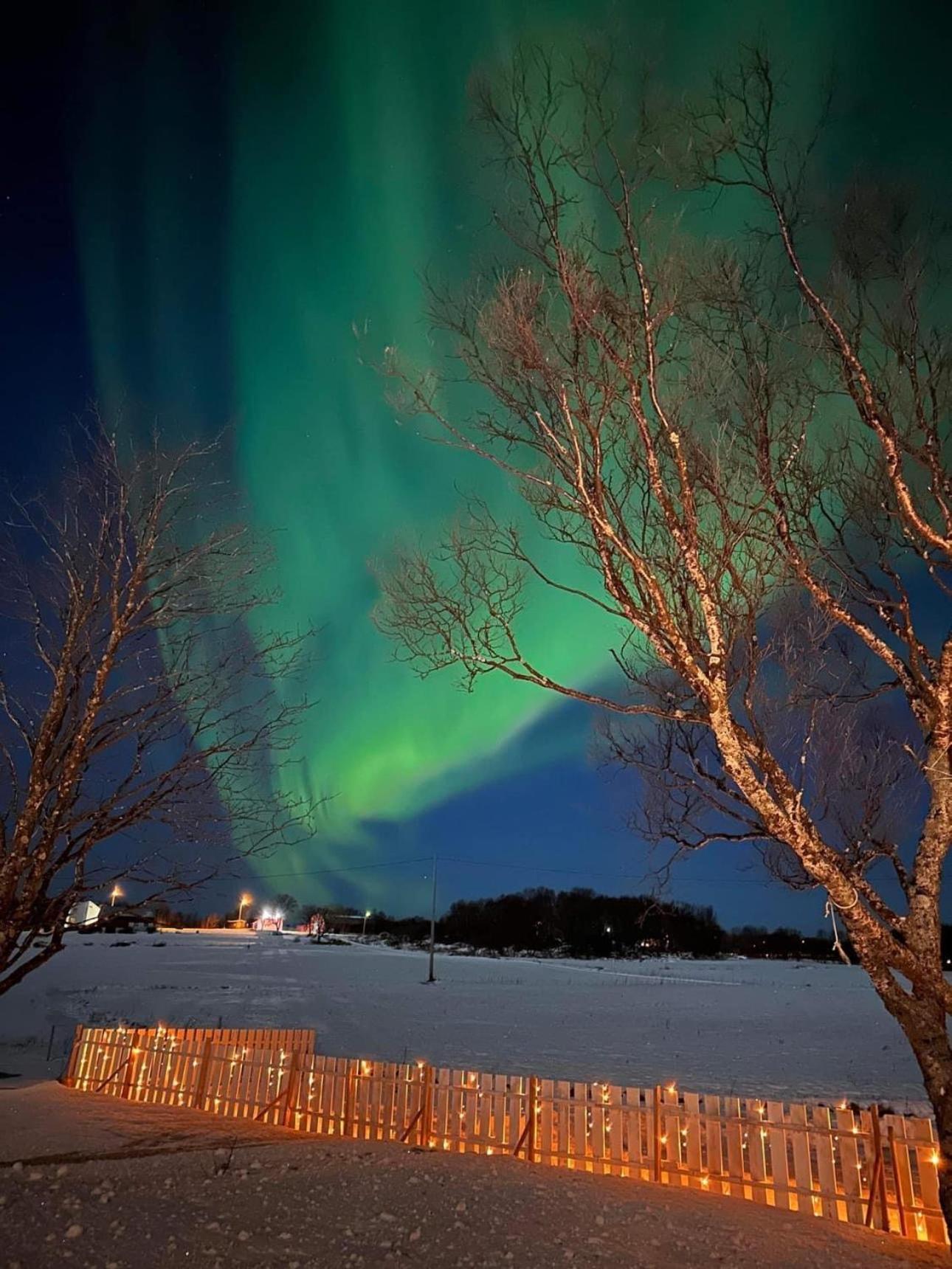 Midnattsolveien 3158,Sommarhusstrand Laukvik Lofoten Norway Bagian luar foto