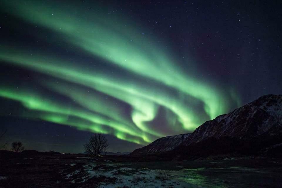 Midnattsolveien 3158,Sommarhusstrand Laukvik Lofoten Norway Bagian luar foto