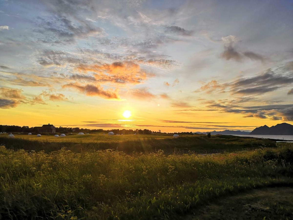 Midnattsolveien 3158,Sommarhusstrand Laukvik Lofoten Norway Bagian luar foto